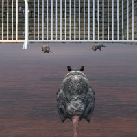 Cheese Chompers 3D img