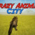 Crazy Animal City img