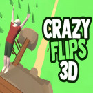 Crazy Flips 3D